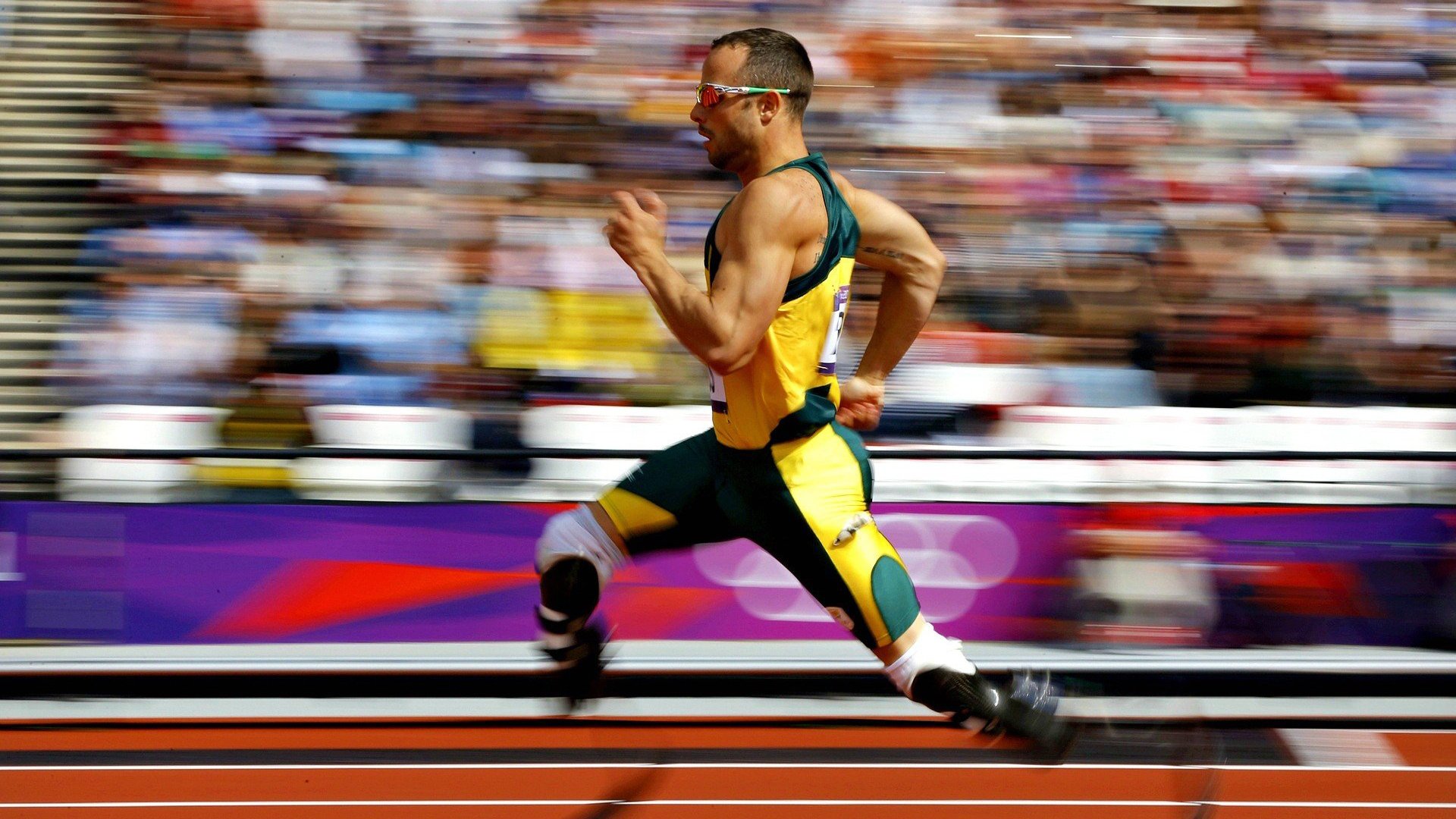 德约强势卫冕,成就个人大满贯纪录,德约的大满贯几个