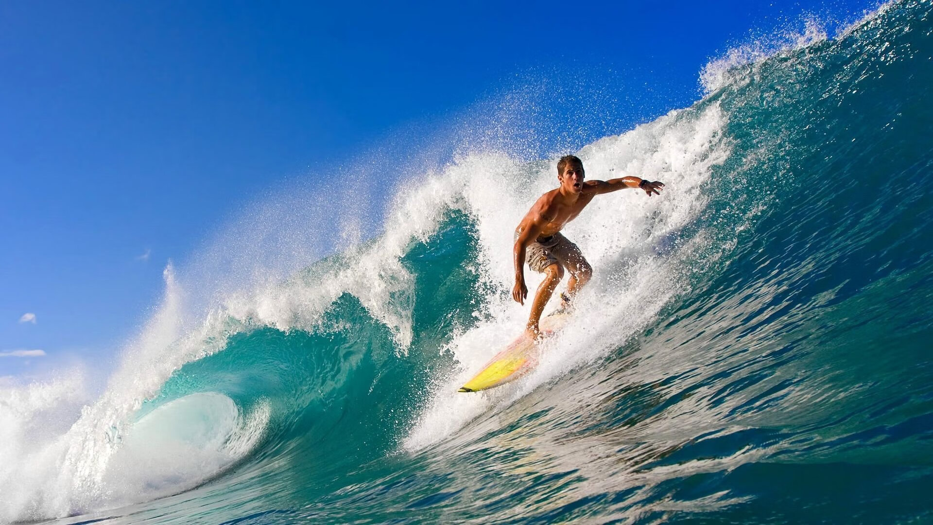 未来瞬间：年轻队员的逆境逆转！，未来青年演员