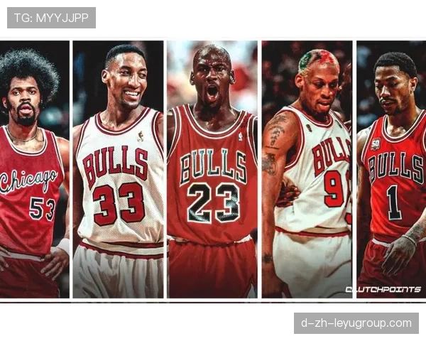 公牛队新秀状态火热，备战新赛季，公牛队现役首发阵容