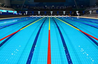 乐鱼全站-体坛记忆｜福冈世锦赛蝶泳决赛，张雨霏最后5米不换气狂冲，逆袭夺金